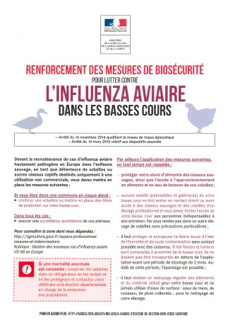 influenza_aviaire_novembre_2016